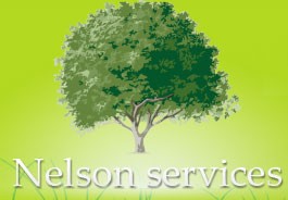 Logo NELSON SERVICES