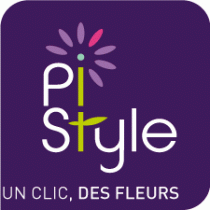 Logo PI STYLE
