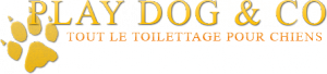 Logo PLAY DOG & CO