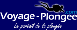 Logo PLONGEE