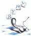 Logo RYMY