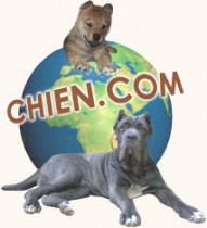 Logo SARL CHIEN.COM