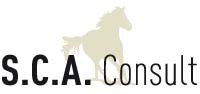 Logo SCA CONSULT
