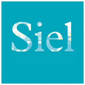 Logo SOCIÉTÉ INDUSTRIELLE D'EQUIPEMENT DE LA LIMAGNE