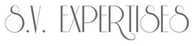 Logo SV EXPERTISES