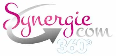 Logo SYNERGIE COM 360