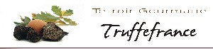 Logo TRUFFE FRANCE