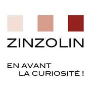 Logo ZINZOLIN